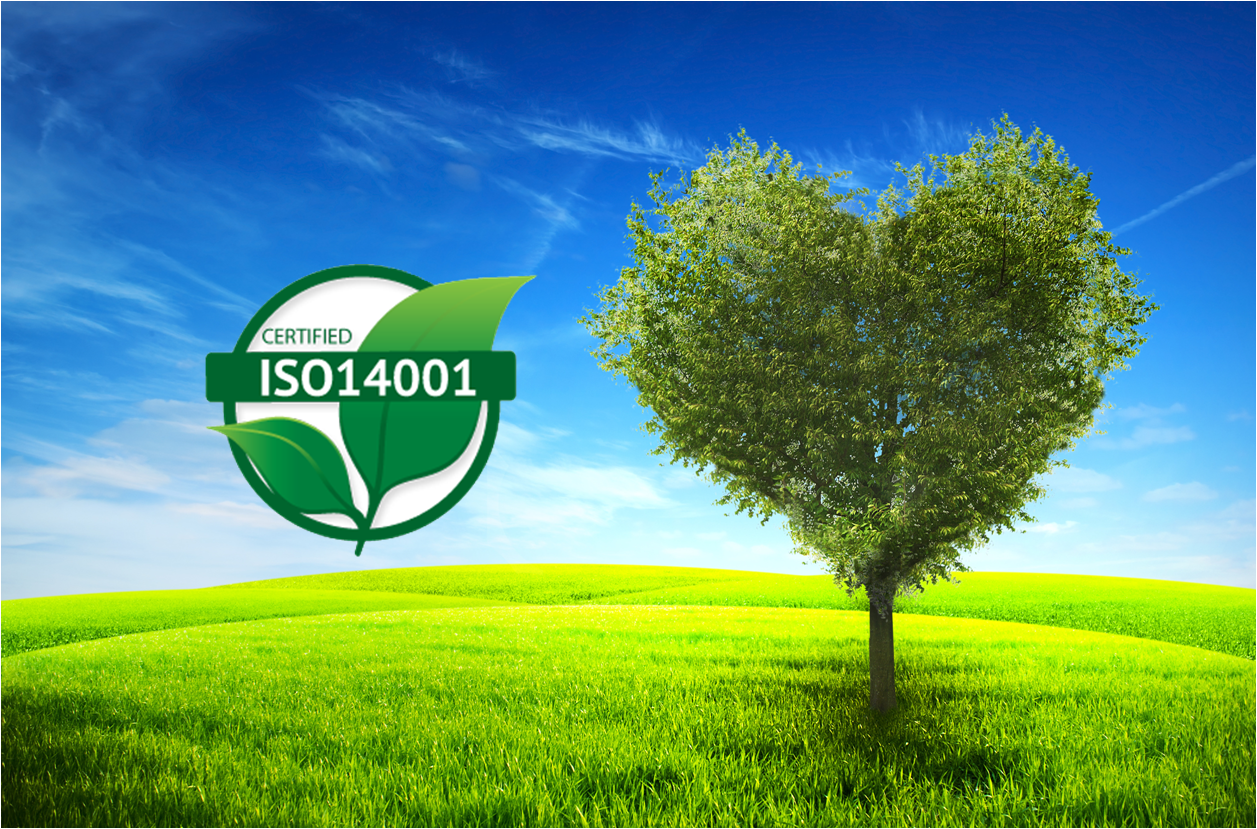 Ближайшие экологические. Международный стандарт ISO 14001. Система экологического менеджмента ISO. Экологический менеджмент. Система экологического менеджмента ISO 14001.
